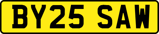 BY25SAW