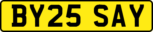 BY25SAY