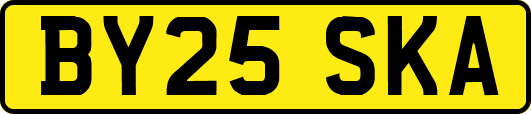 BY25SKA