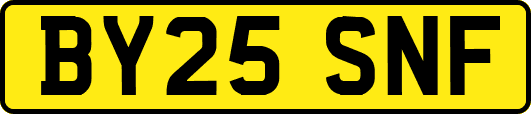 BY25SNF