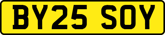 BY25SOY