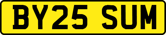 BY25SUM