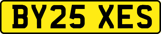 BY25XES