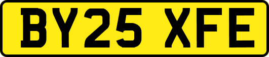 BY25XFE