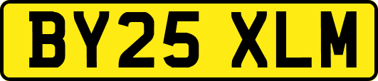 BY25XLM