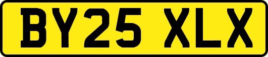 BY25XLX