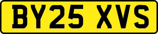 BY25XVS