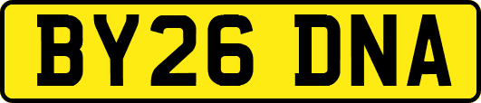 BY26DNA