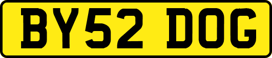BY52DOG