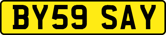 BY59SAY