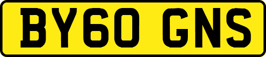 BY60GNS