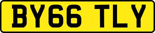 BY66TLY