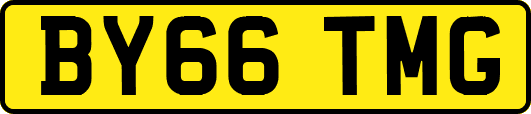 BY66TMG
