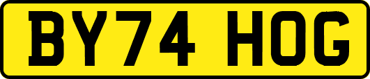 BY74HOG