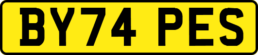 BY74PES