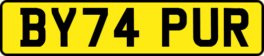 BY74PUR