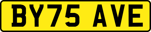 BY75AVE