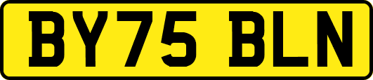 BY75BLN