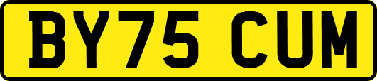 BY75CUM