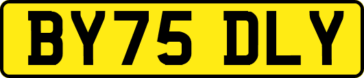 BY75DLY