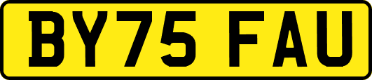 BY75FAU