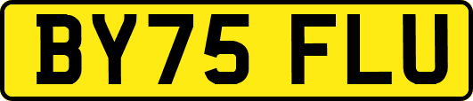 BY75FLU
