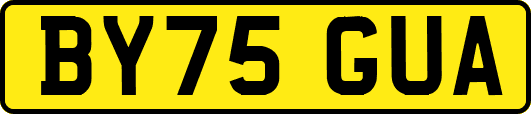 BY75GUA