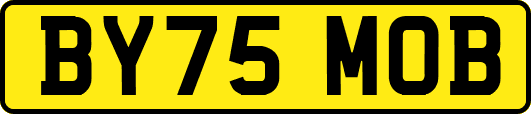 BY75MOB
