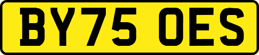 BY75OES