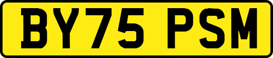 BY75PSM