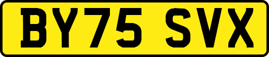 BY75SVX
