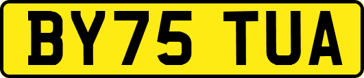 BY75TUA