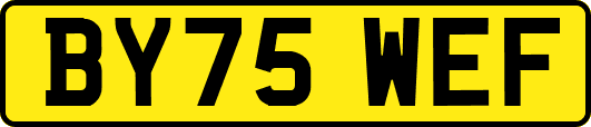 BY75WEF