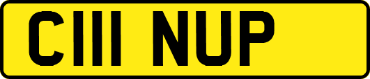 C111NUP