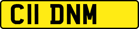 C11DNM