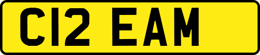 C12EAM