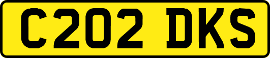 C202DKS