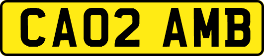 CA02AMB