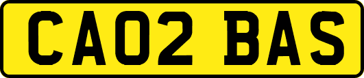 CA02BAS