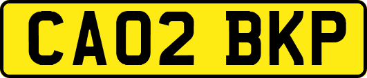 CA02BKP