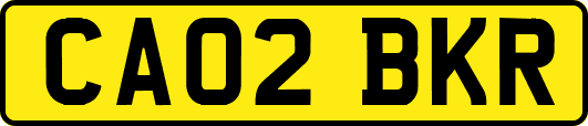 CA02BKR
