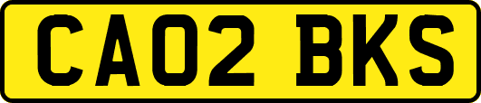 CA02BKS