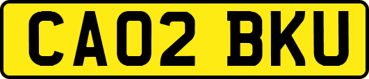 CA02BKU