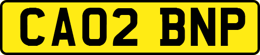 CA02BNP