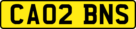 CA02BNS
