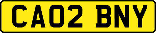 CA02BNY