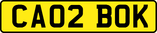 CA02BOK