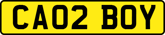 CA02BOY