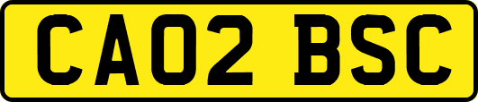 CA02BSC