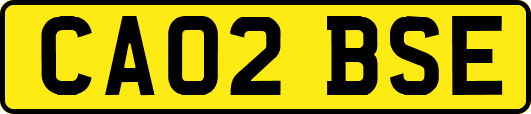 CA02BSE